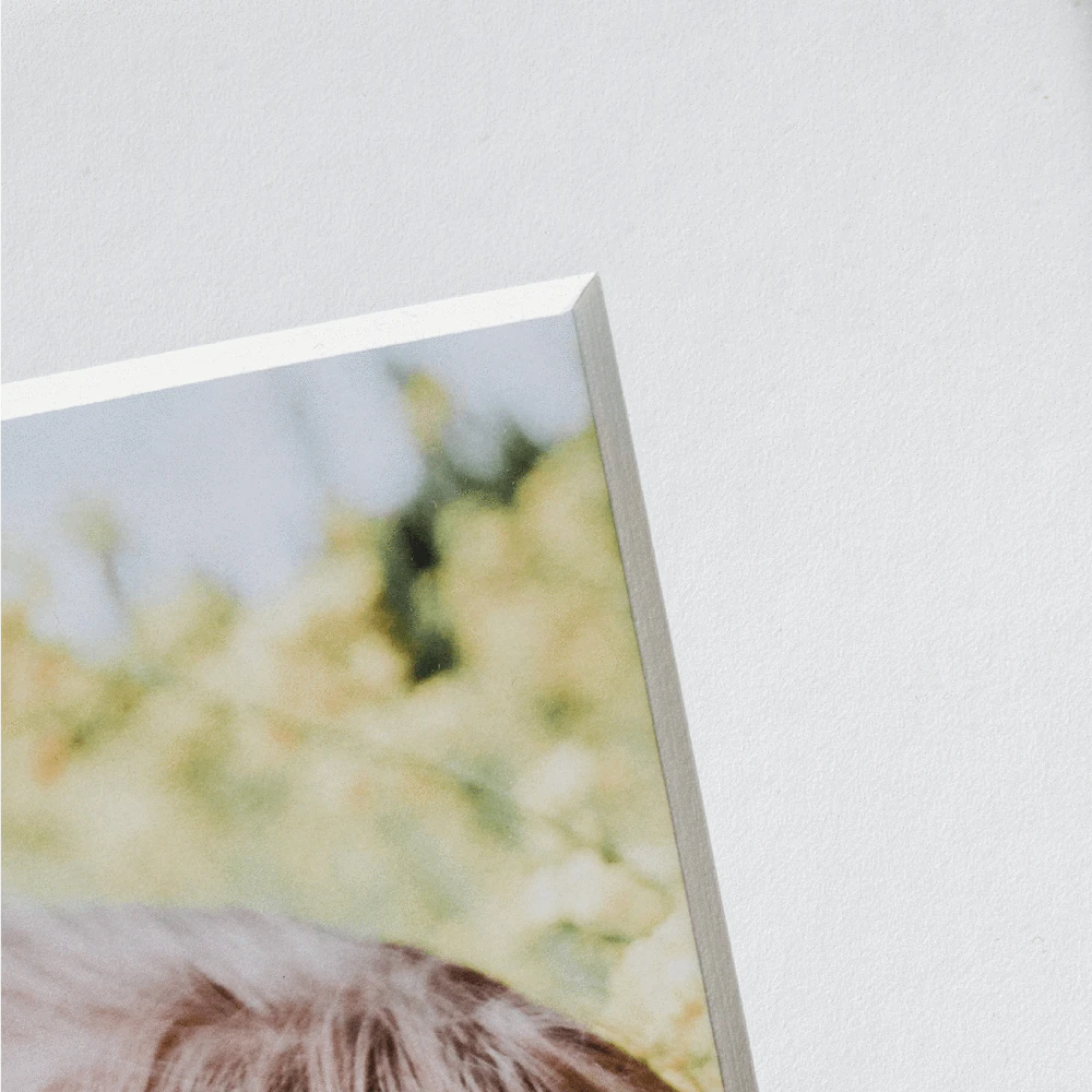 NW Framing Framed Prints Framed Print: 30x30 5 NW Framing Framed Prints Framed Print: 30x30