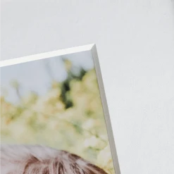 NW Framing Framed Prints Framed Print: 30x40 4 NW Framing Framed Prints Framed Print: 30x40