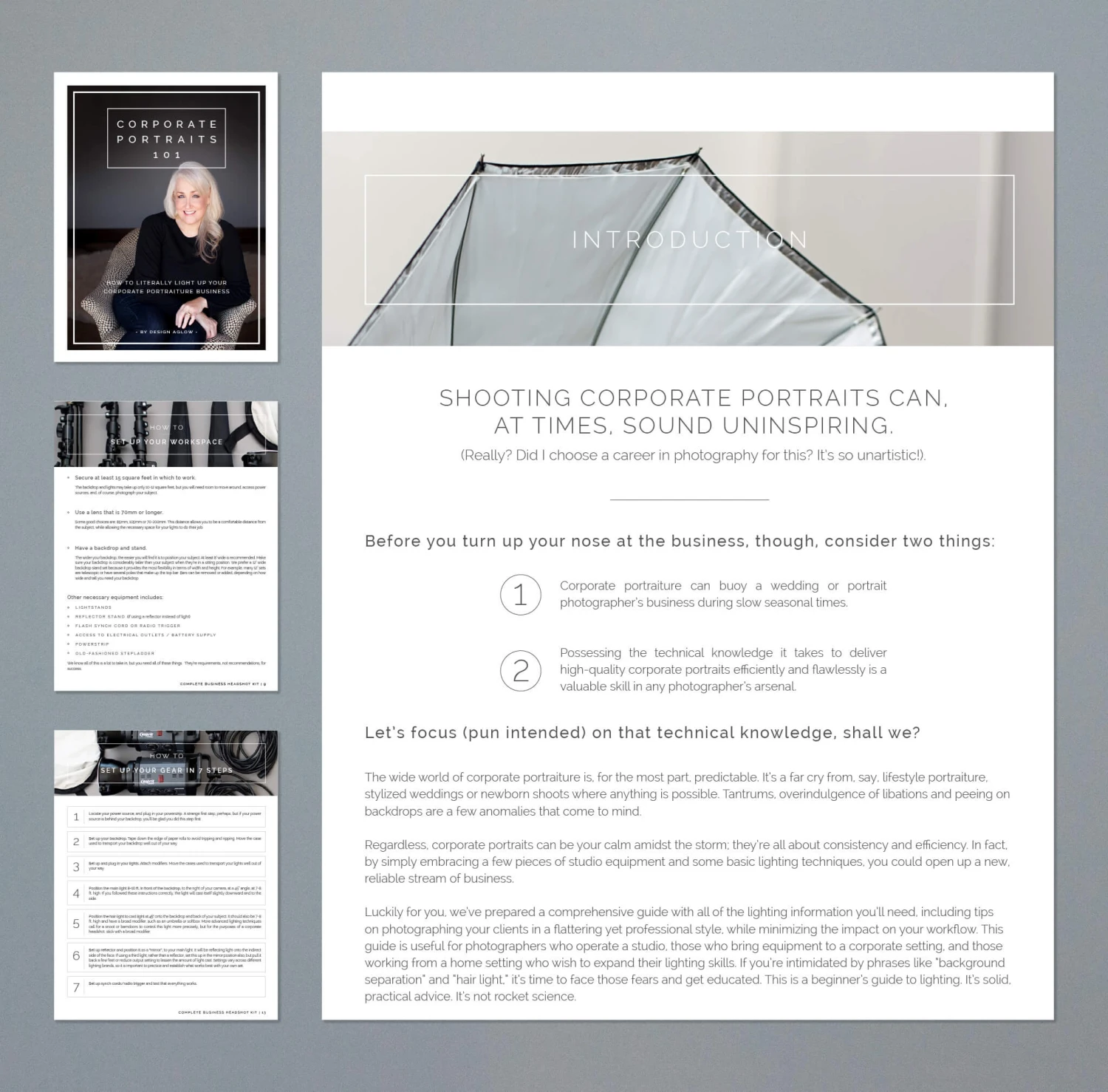 DesignAglow Corporate Portraits 101: A Complete Business Headshot Kit Business Courses & Resources 5 DesignAglow Corporate Portraits 101: A Complete Business Headshot Kit Business Courses & Resources