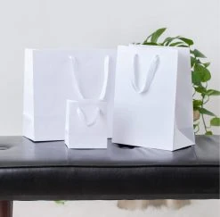 Paper Shop Gift Bags