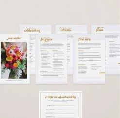 DesignAglow VIDA Client Care Cards Bold & Fun