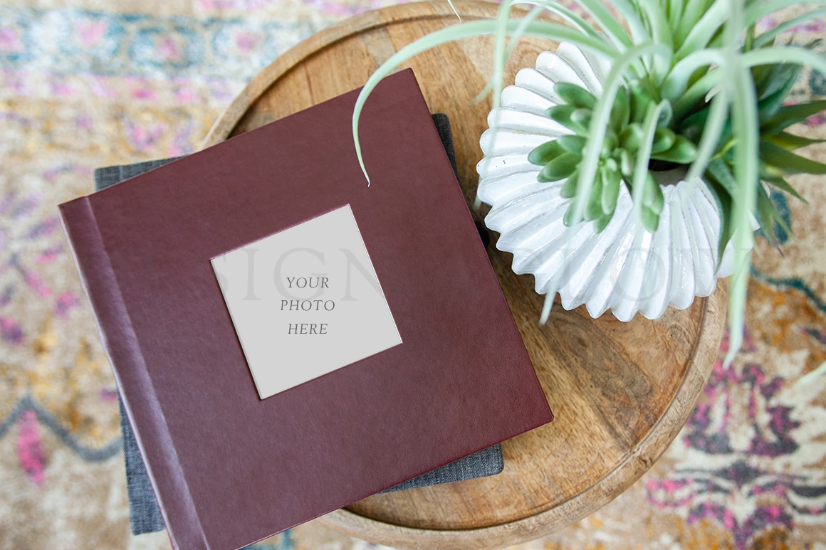 DesignAglow Album Mockup (013) Album Sales Tools 3 DesignAglow Album Mockup (013) Album Sales Tools