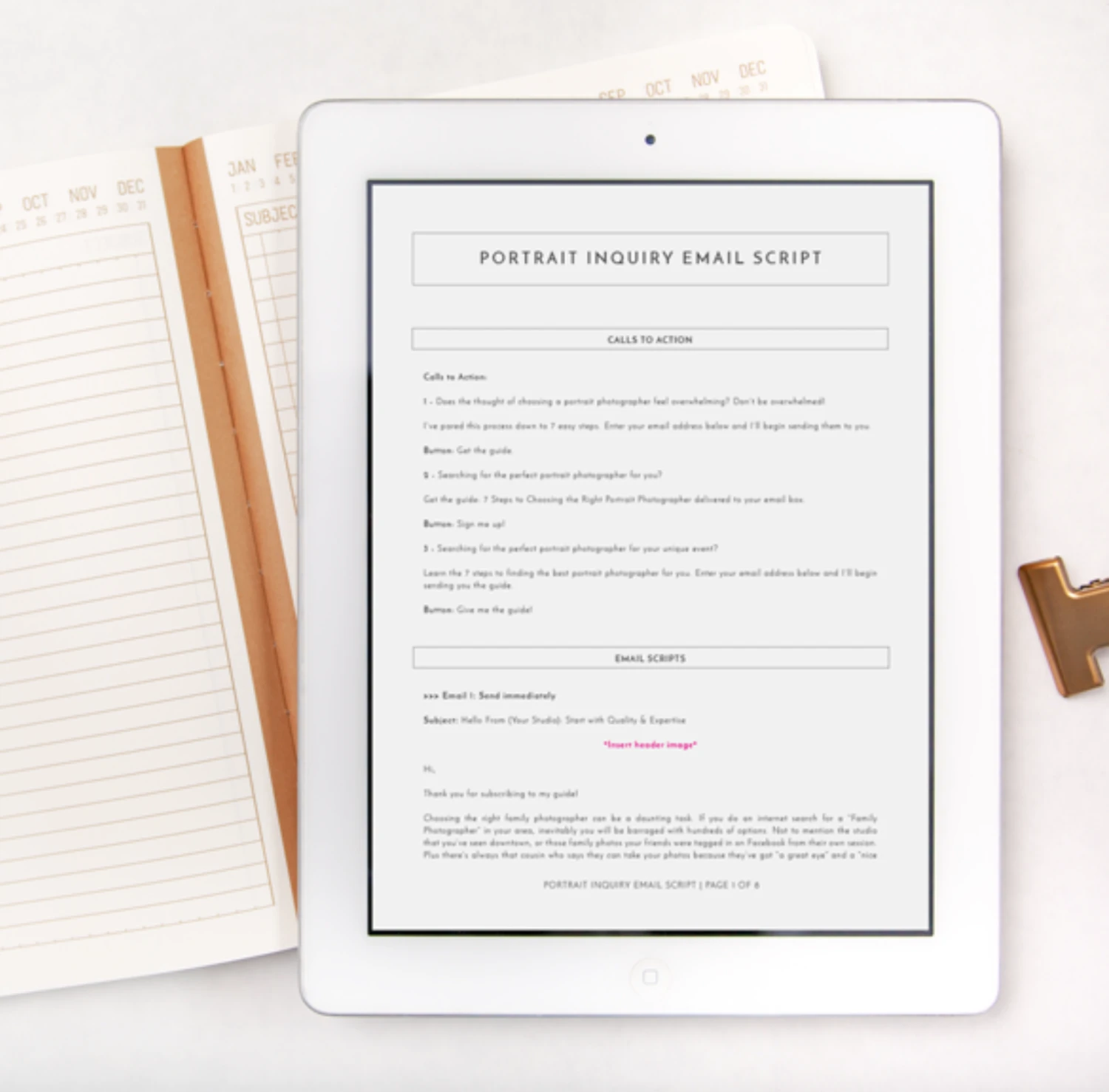 iPad_060518_02.png DesignAglow Portrait Inquiry Email Scripts Portraits & Families