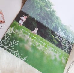 DesignAglow Holiday Cards: Let It Snow