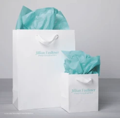 Paper Shop Gift Bags