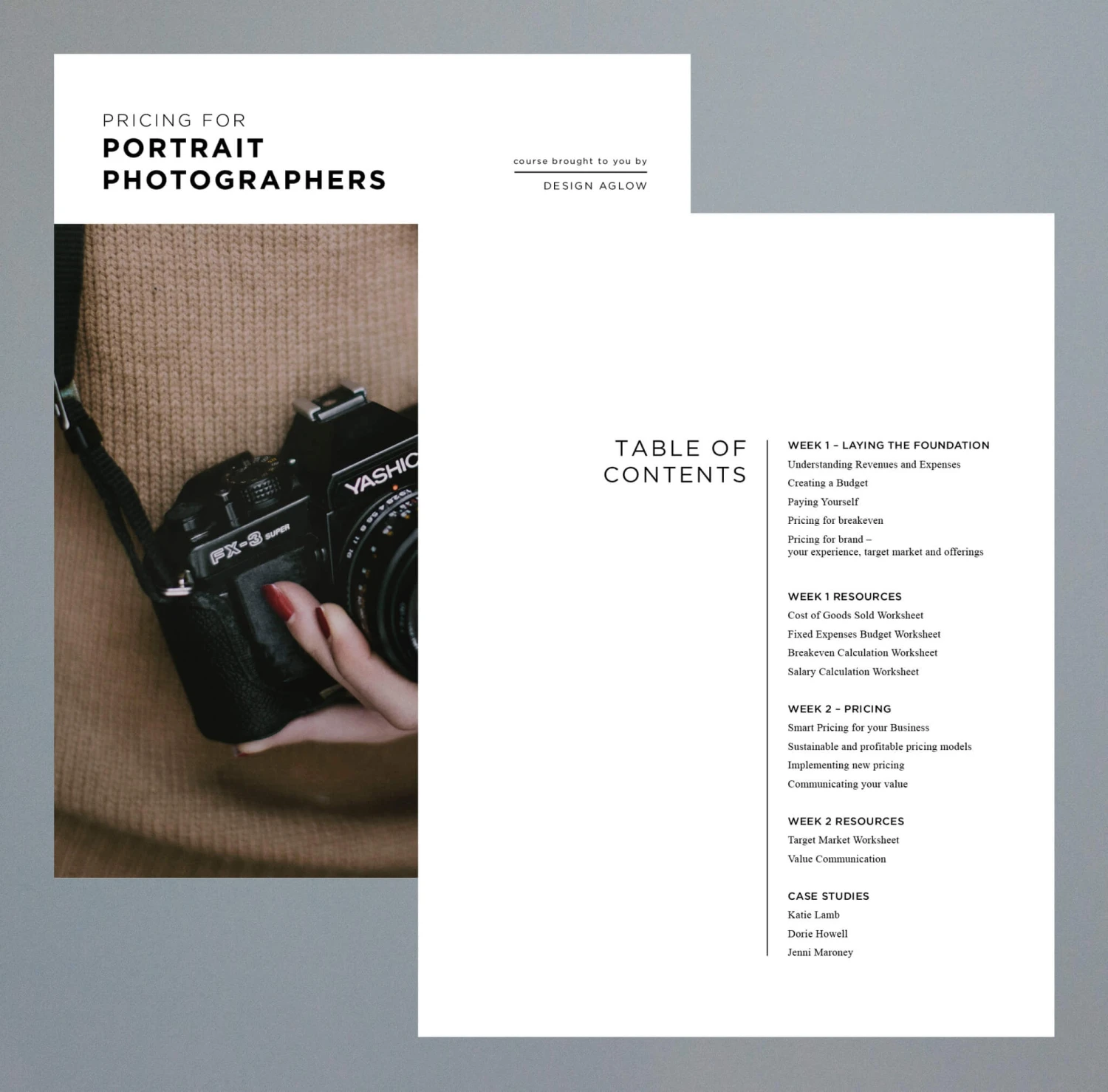 portrait_pricing_guide_2.jpg DesignAglow Business Courses & Resources Photographer's Pricing Toolkit