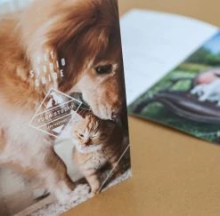 DesignAglow Pet Marketing Suite Marketing Suites