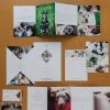 DesignAglow Pet Marketing Suite Marketing Suites