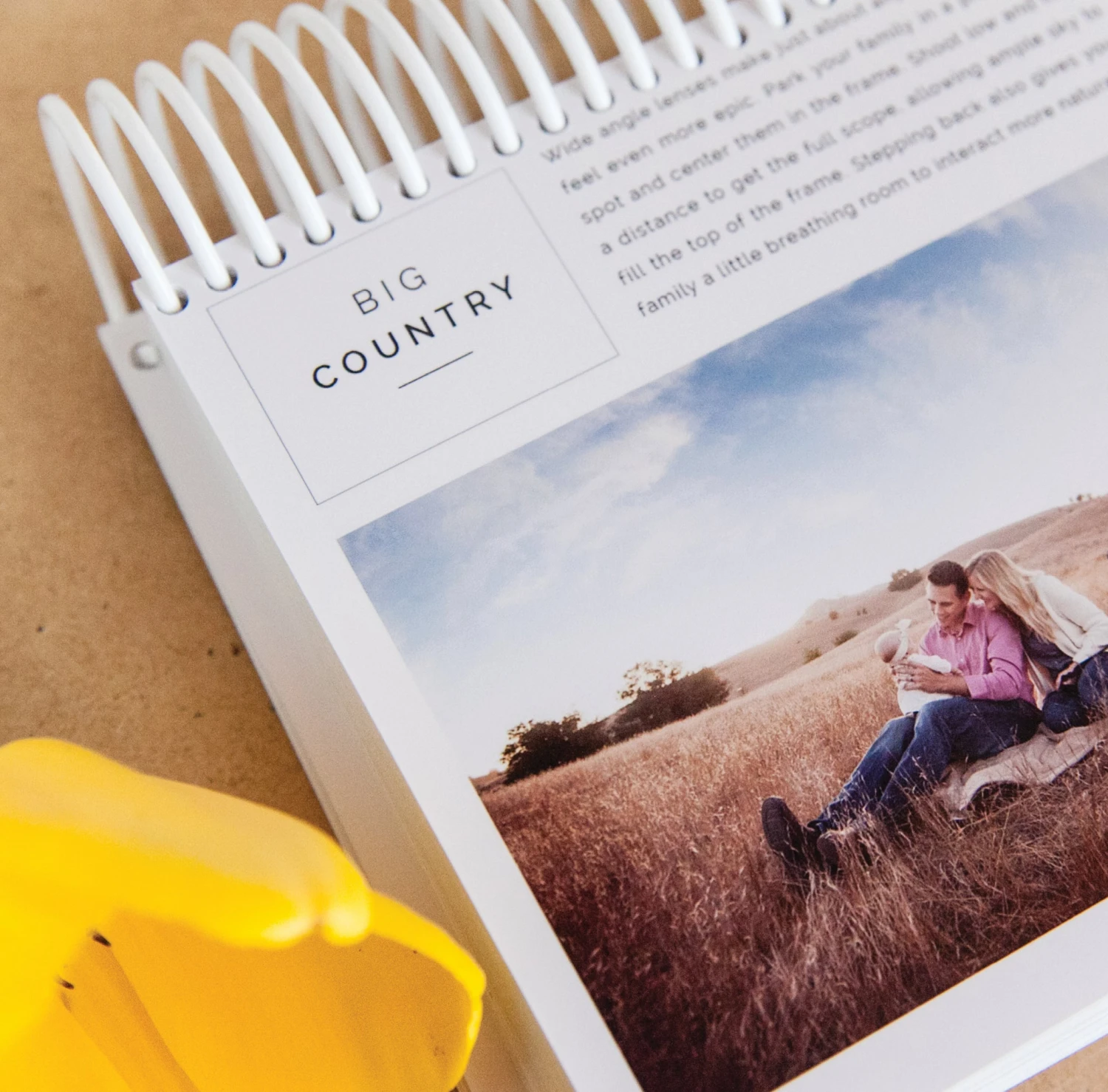 DesignAglow Inspire Me Cards: Baby Posing Guide 4 DesignAglow Inspire Me Cards: Baby Posing Guide