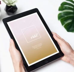 DesignAglow VIDA Style Guide Bold & Fun