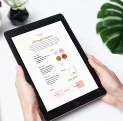 DesignAglow VIDA Style Guide Bold & Fun 7 DesignAglow VIDA Style Guide Bold & Fun