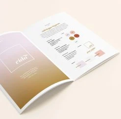 DesignAglow VIDA Style Guide Bold & Fun